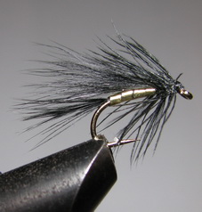���� ������ Wet fly 